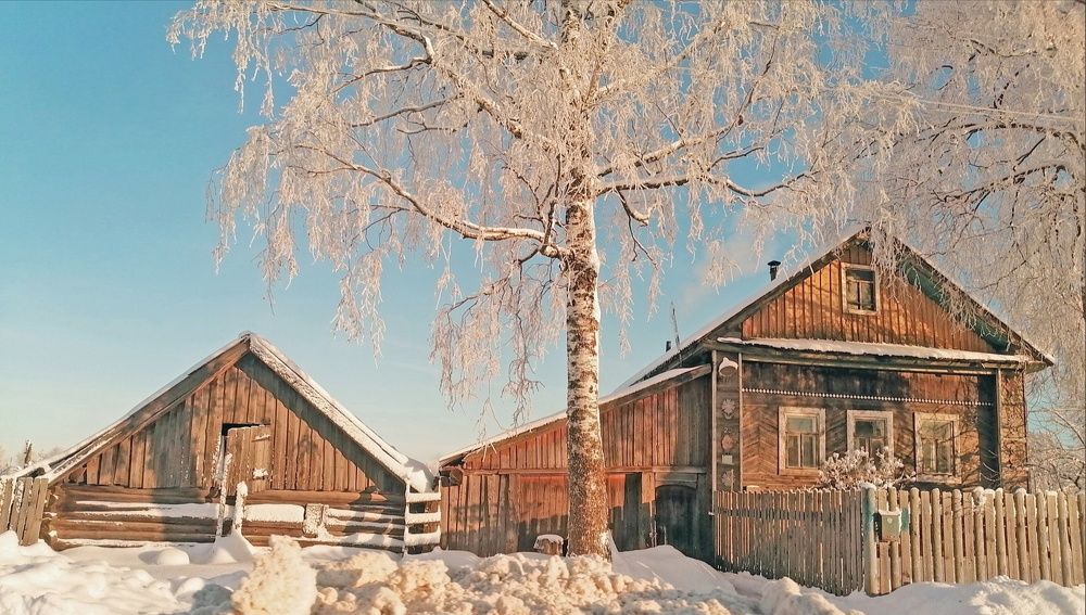 Photograph by Ольга