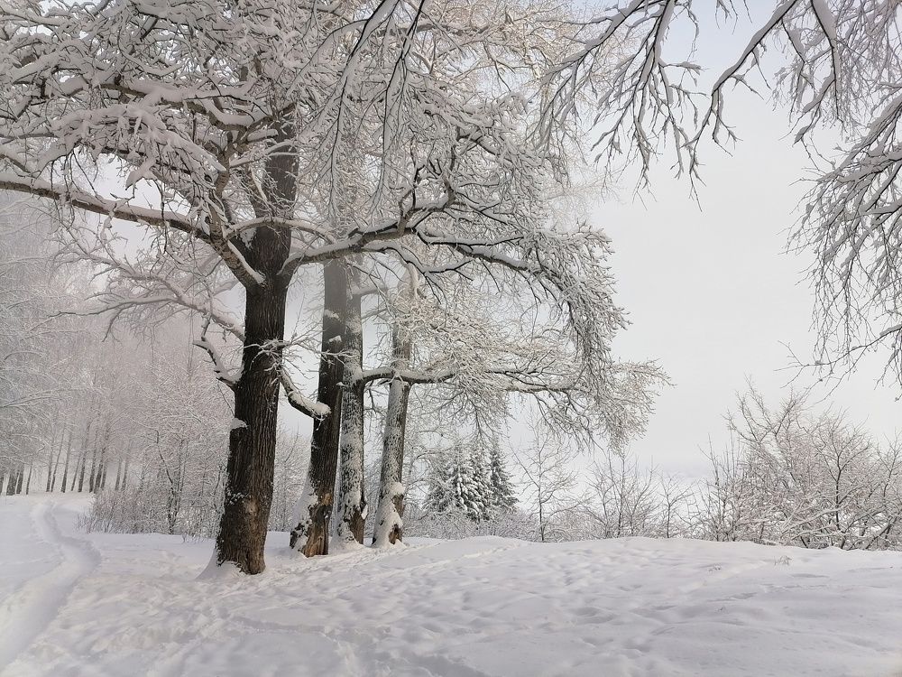 Photograph by Ольга