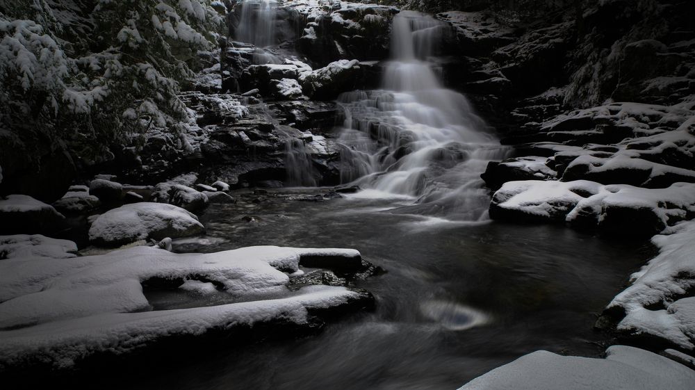 Photograph by Yaniv Abramovitz