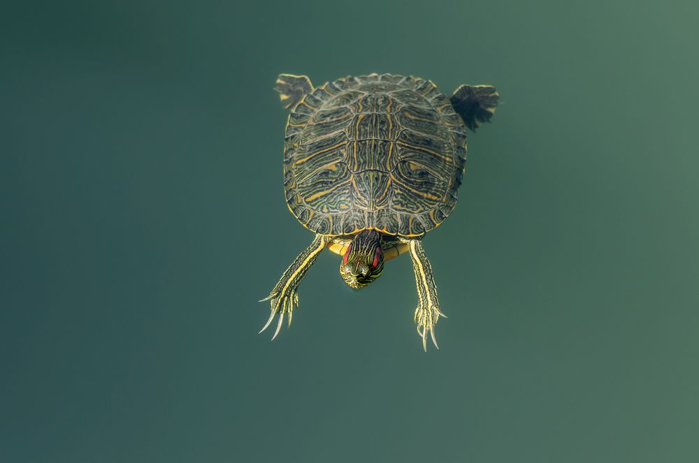 Photograph by Evgeniia Iakimenko