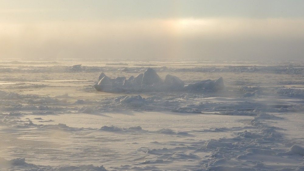 Photograph by Andrei Baburin