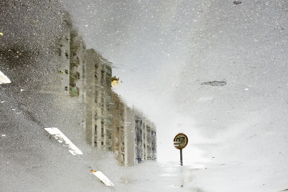 Photograph by Magali Alves