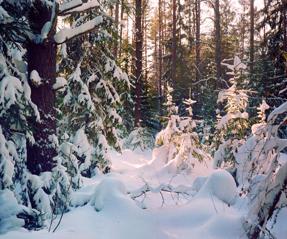 Photograph by Сергей Рулевский