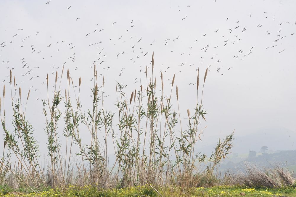 Photograph by Mohamed Kaouche