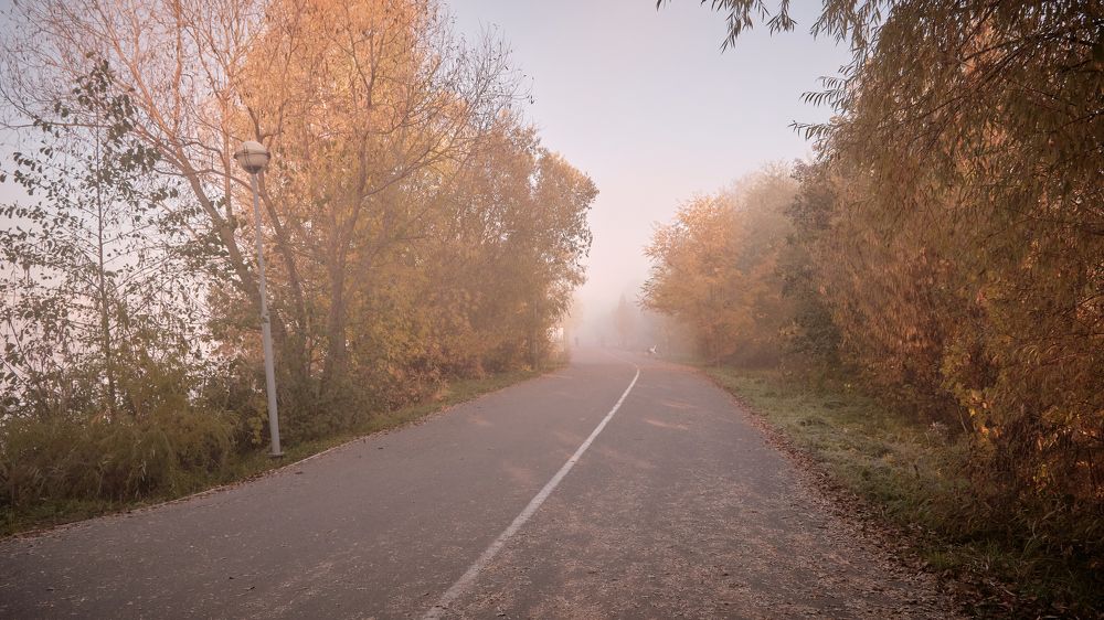 Photograph by Snow Vadim