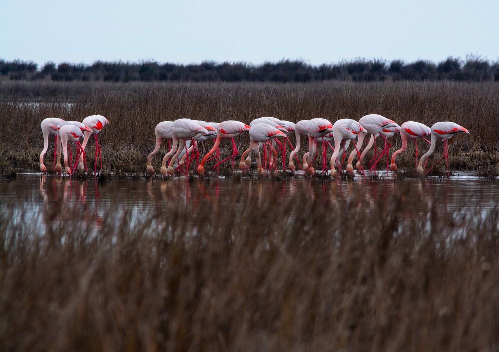 Photograph by Hadi Mohsentabar