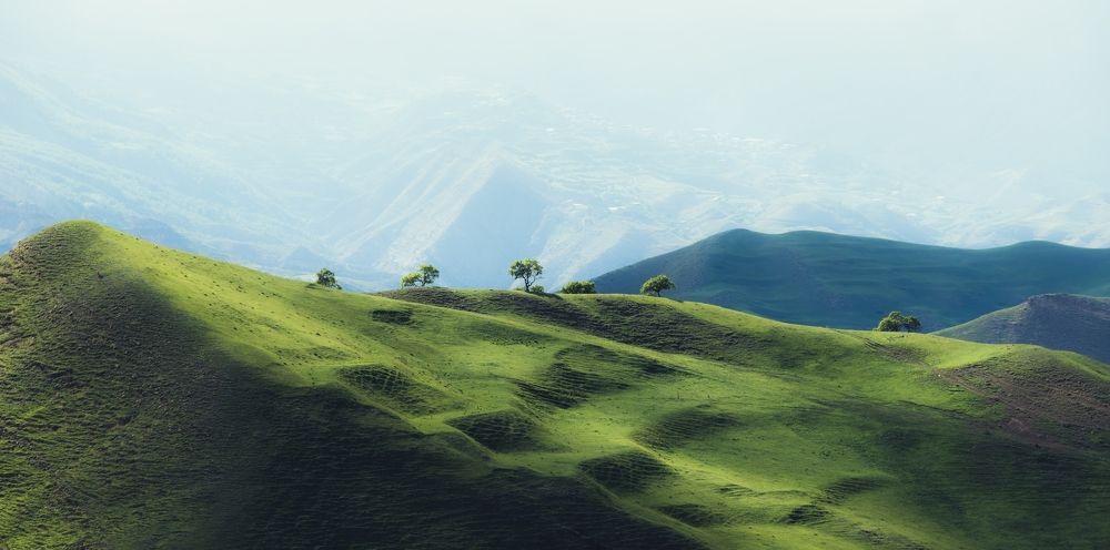 Photograph by Алексей Мараховец