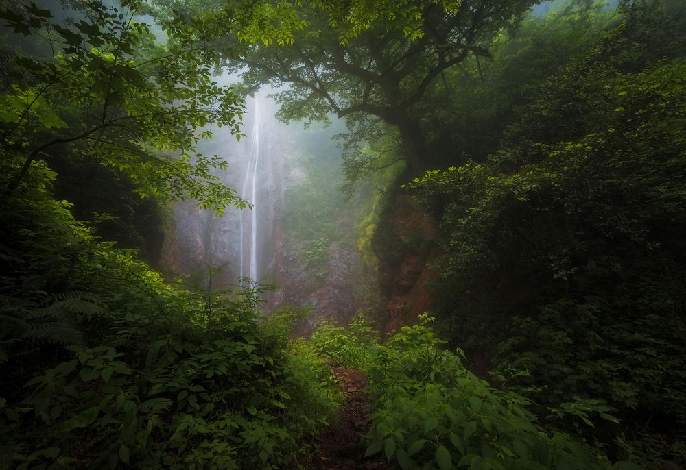 Photograph by Hadi Mohsentabar