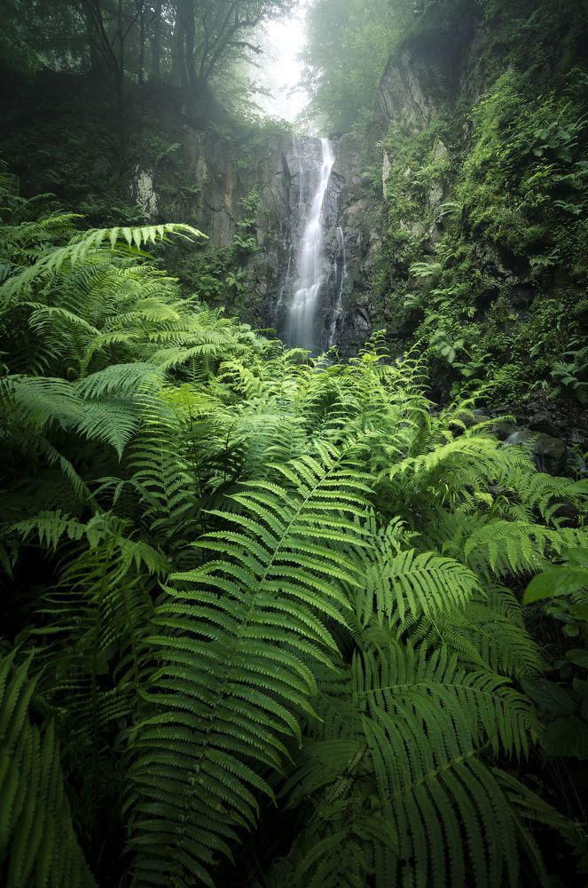 Photograph by Hadi Mohsentabar