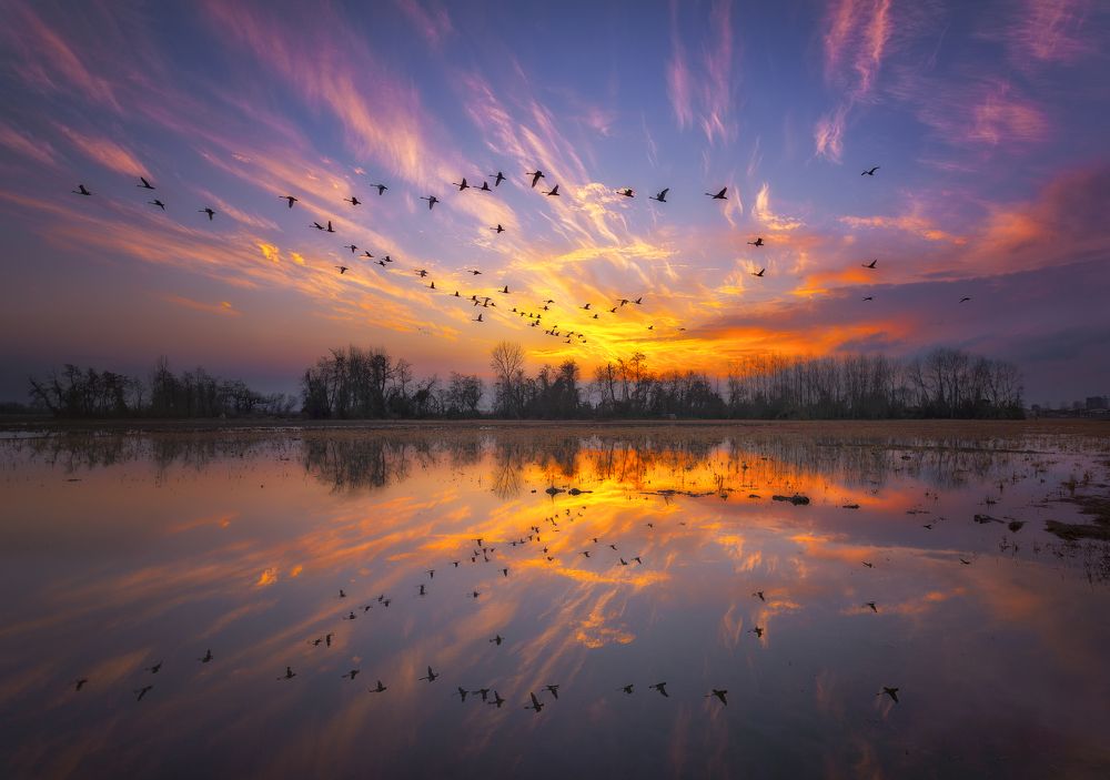 Photograph by Hadi Mohsentabar