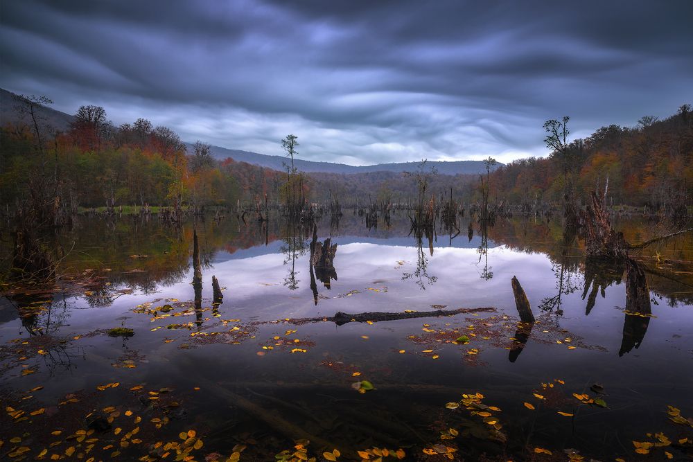 Photograph by Hadi Mohsentabar