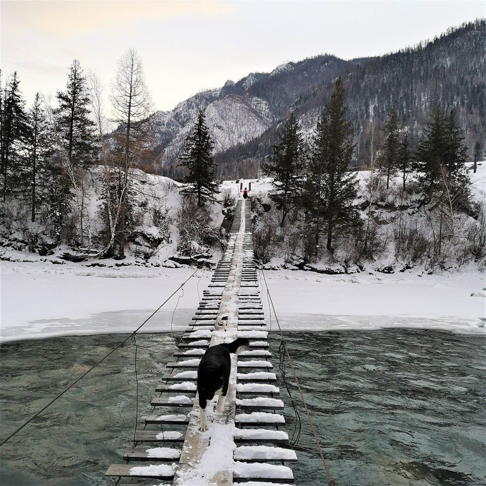 Photograph by Gromova