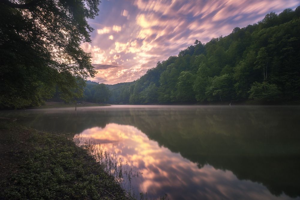 Photograph by Hadi Mohsentabar