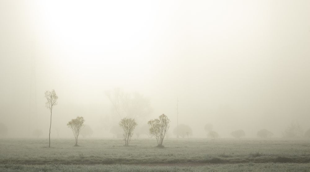 Photograph by Alla Nikitenko