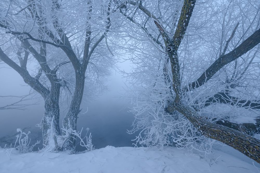 Photograph by Александр Гвоздь