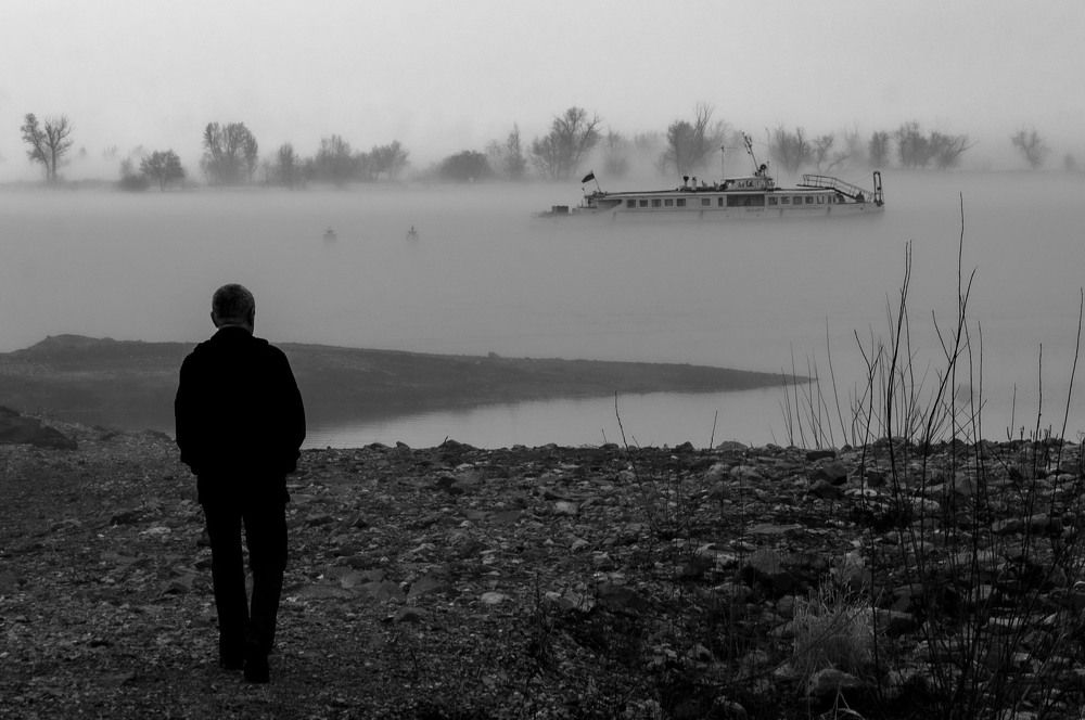 Туман и думы