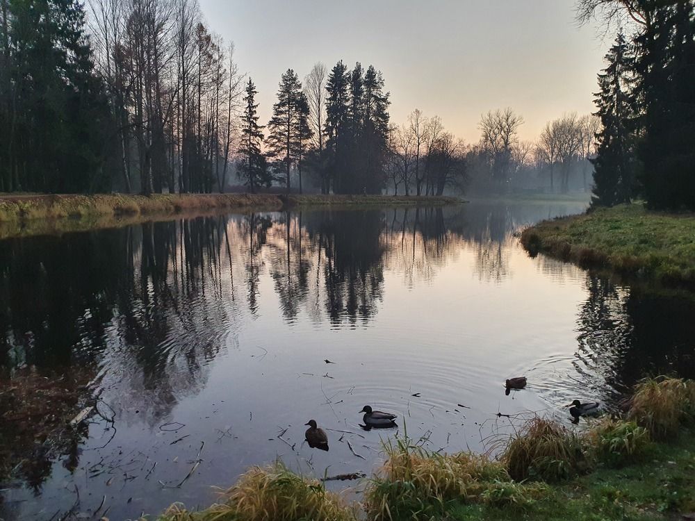 Photograph by Дьяченко Нина