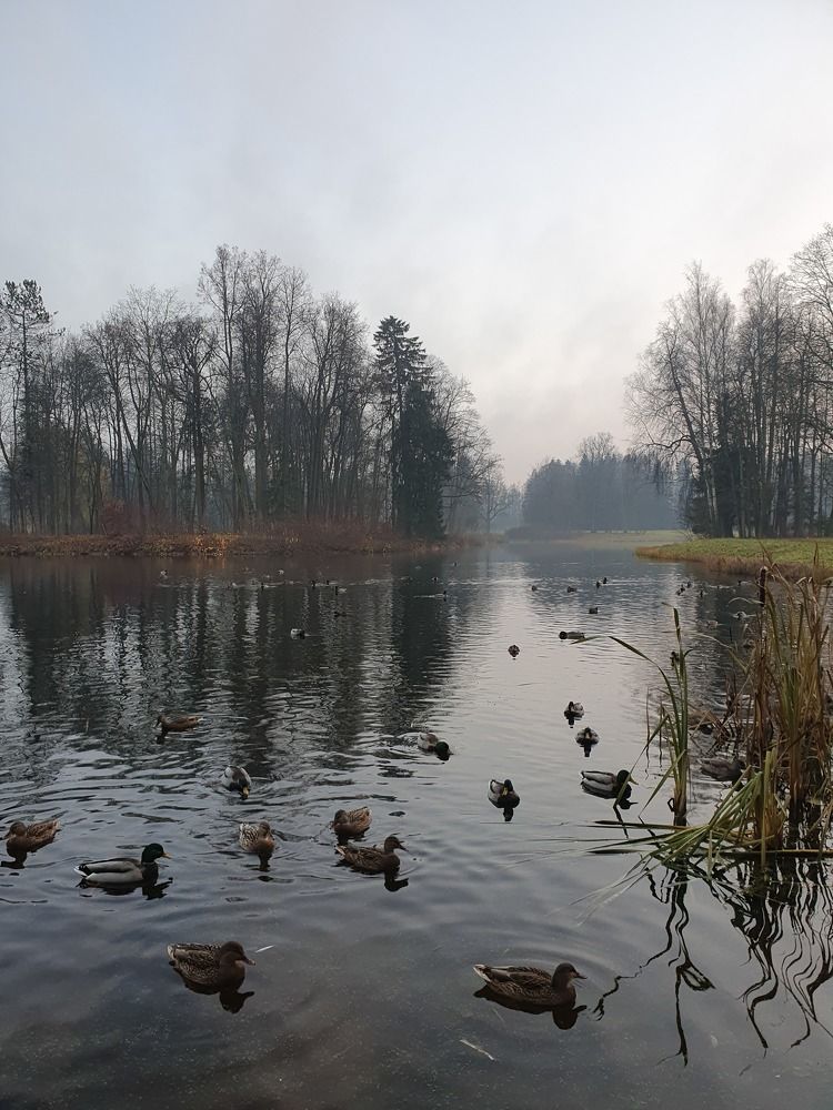 Photograph by Дьяченко Нина