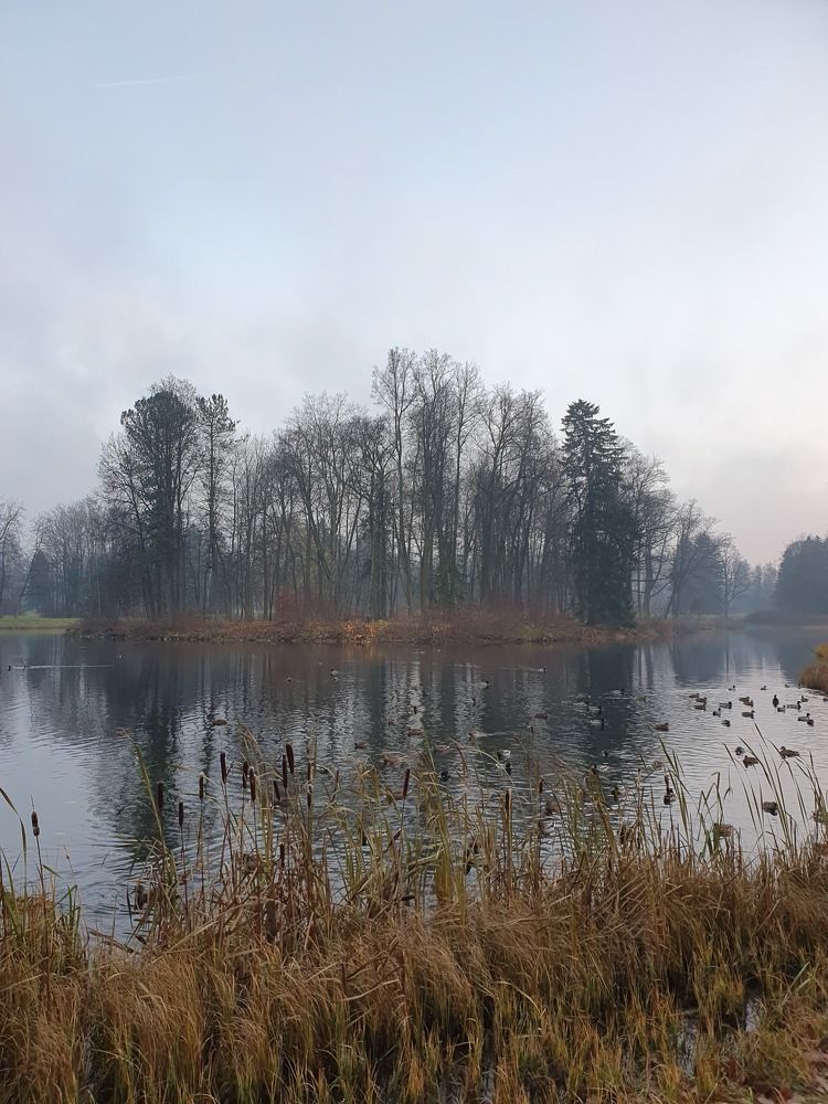 Photograph by Дьяченко Нина