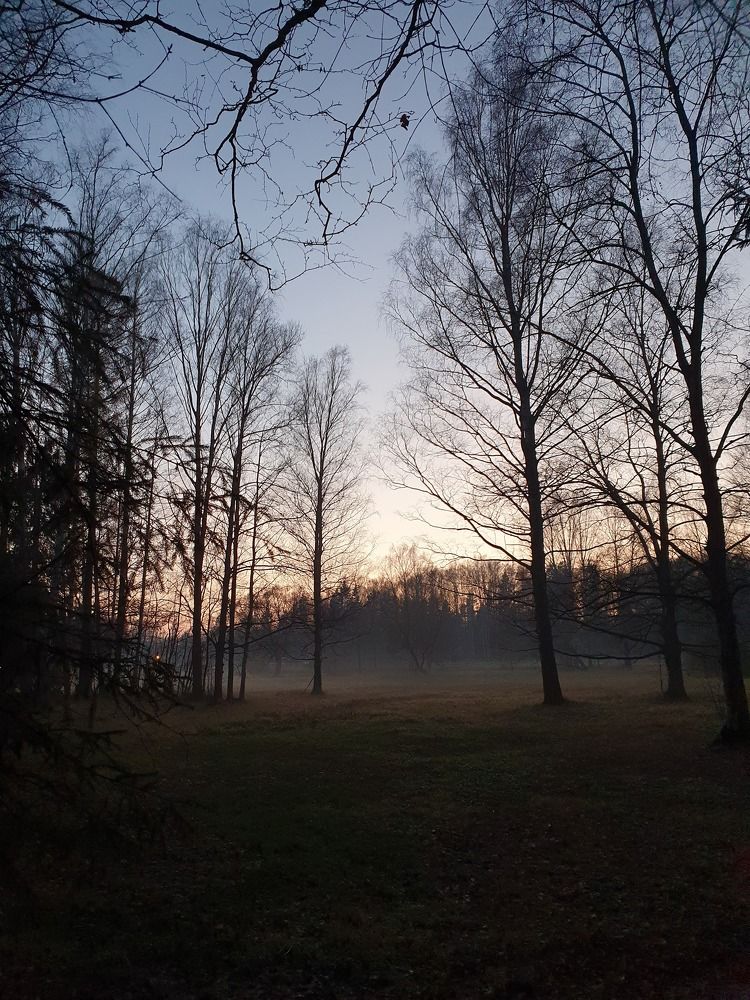 Photograph by Дьяченко Нина