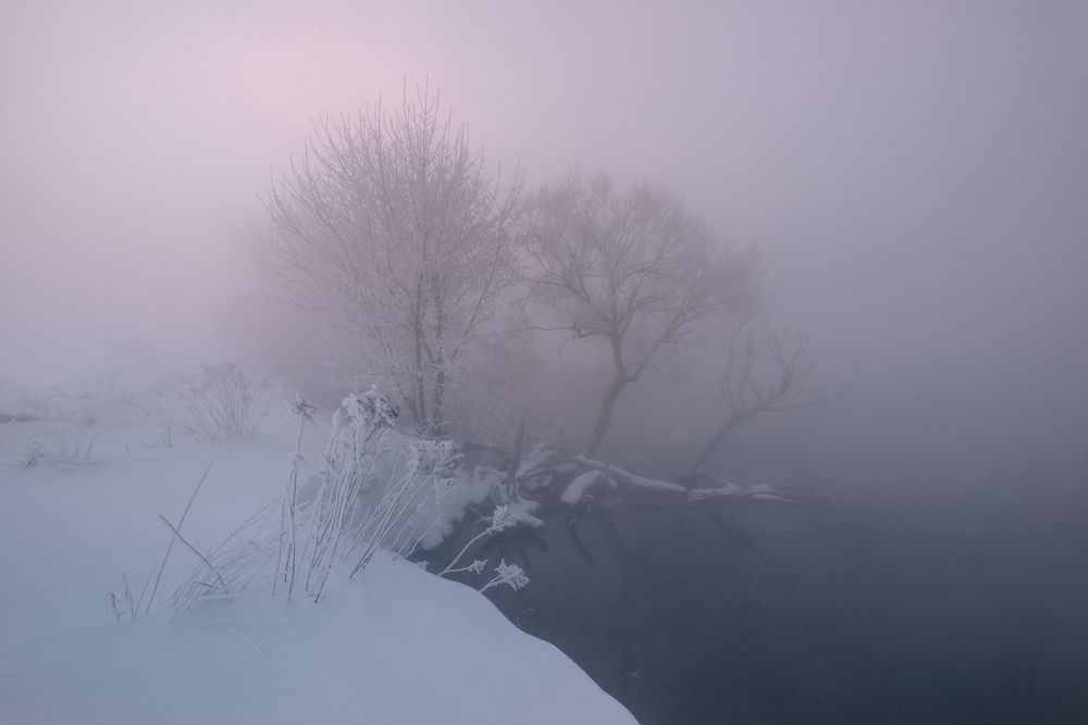 Photograph by Мария Минск