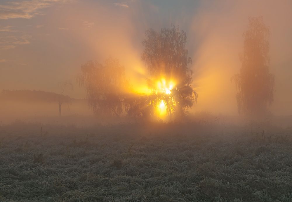 Photograph by Мария Минск