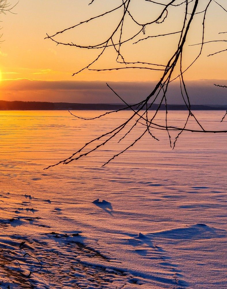 Photograph by Елена Башмакова