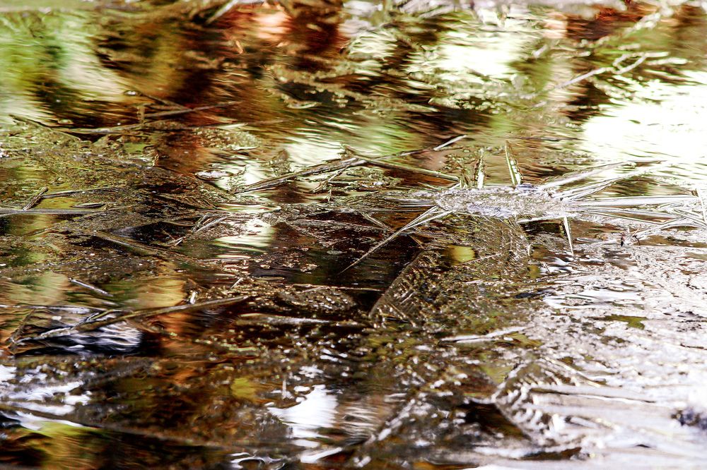 Апрельские заморозки
