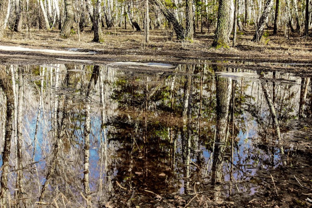 Братец Апрель