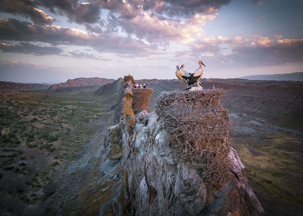 Photograph by Hadi Mohsentabar