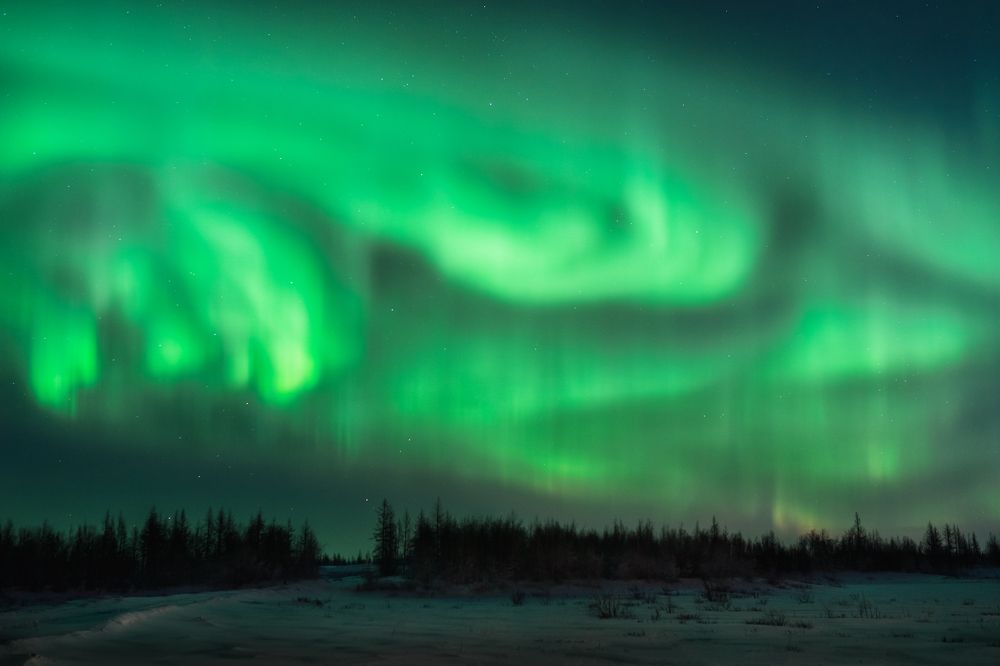 Фотография автора Евгения Шаравар