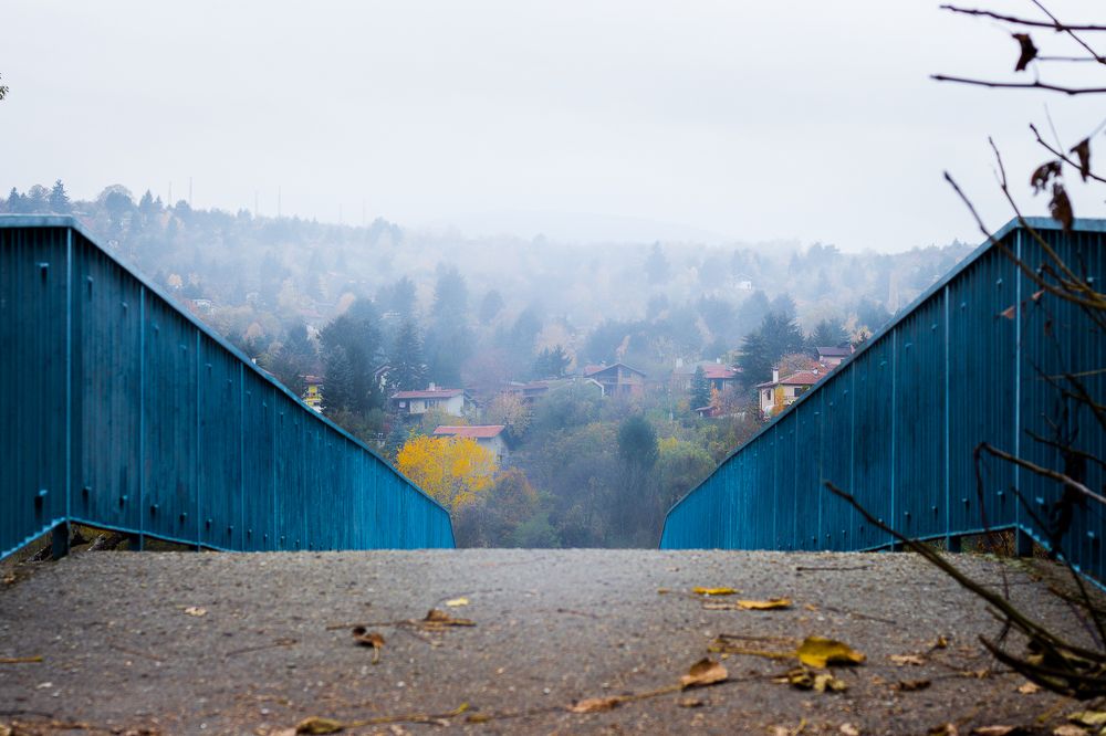 Photograph by Radoslav Bonev