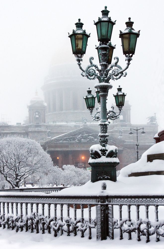 Фотография автора Ольга Виноградова