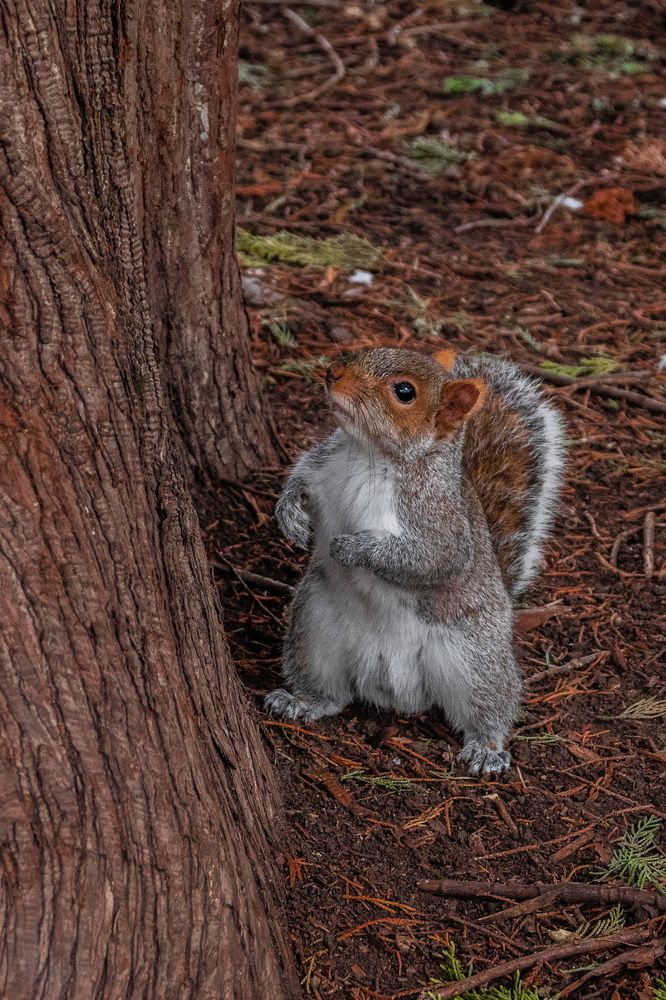 Photograph by Cristina Oniga