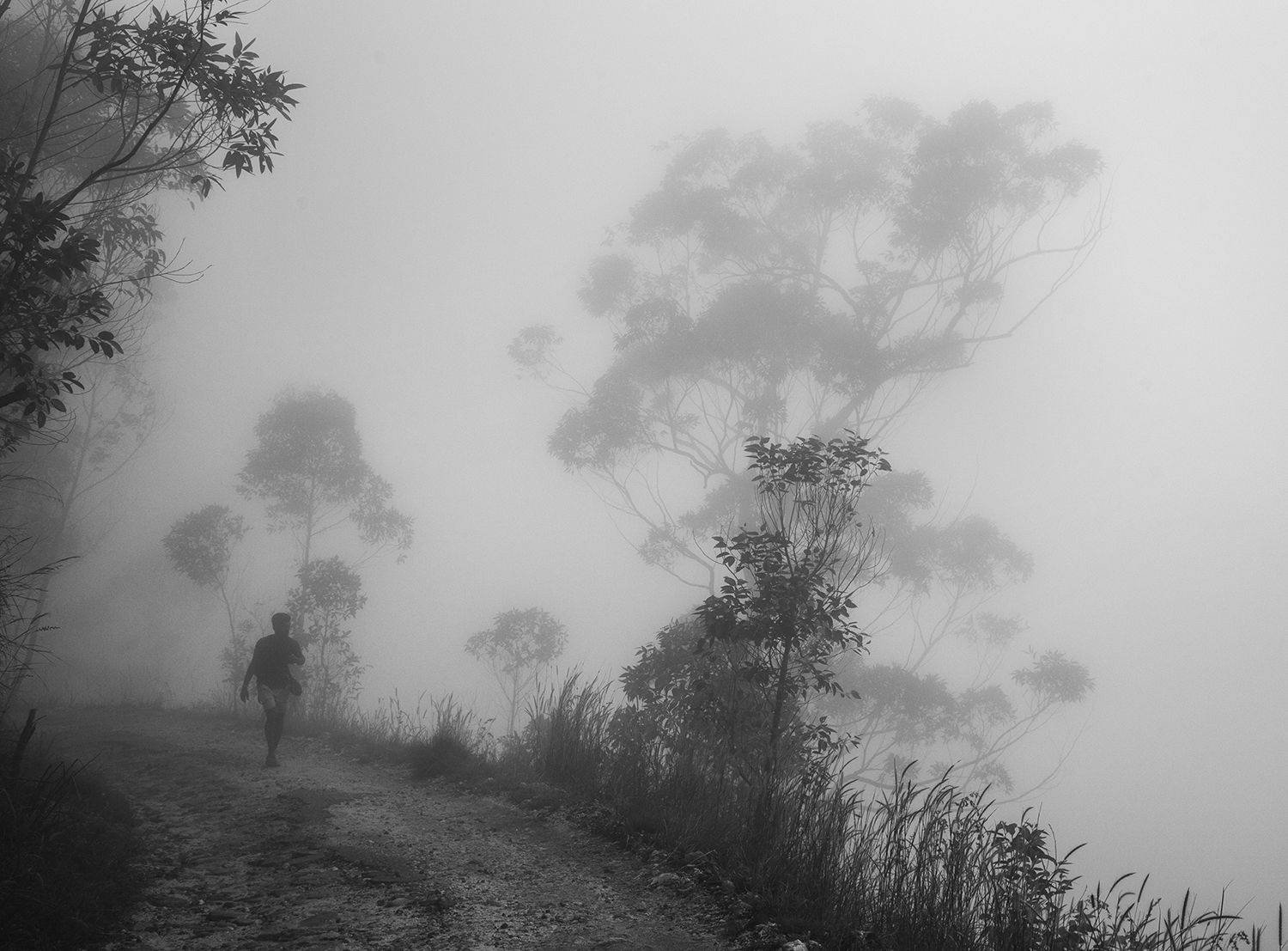 Photo #6910432