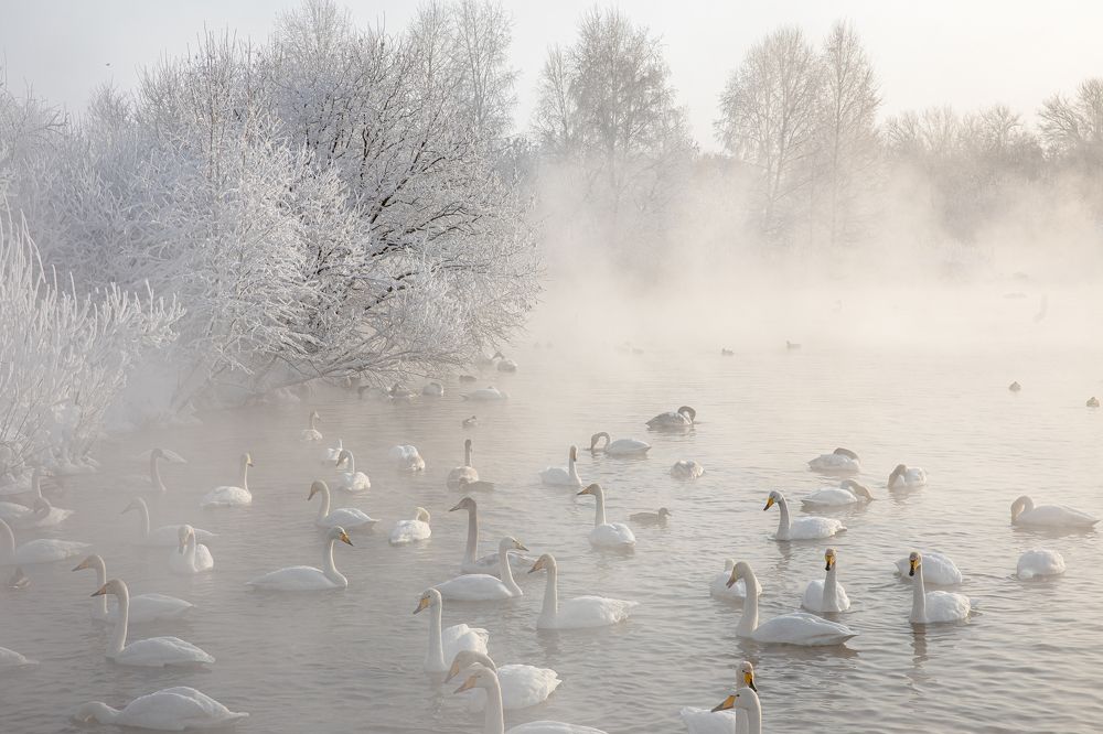 Photograph by Елена Мунтян