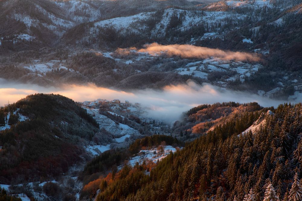 Photograph by Emilia Tsoncheva