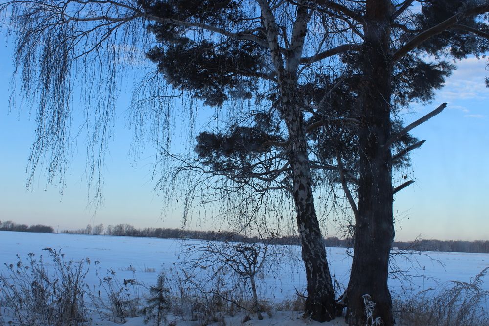 Photograph by Наталия