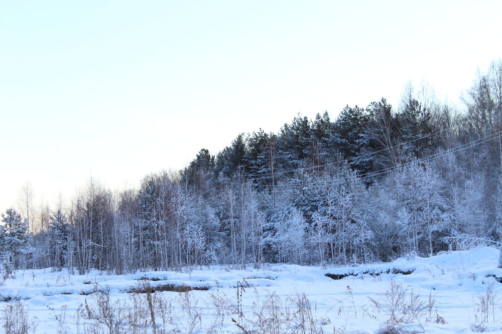 Photograph by Наталия