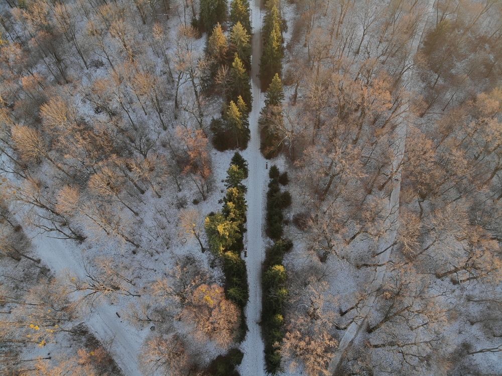 Photograph by Oleksandr Kovalevsky