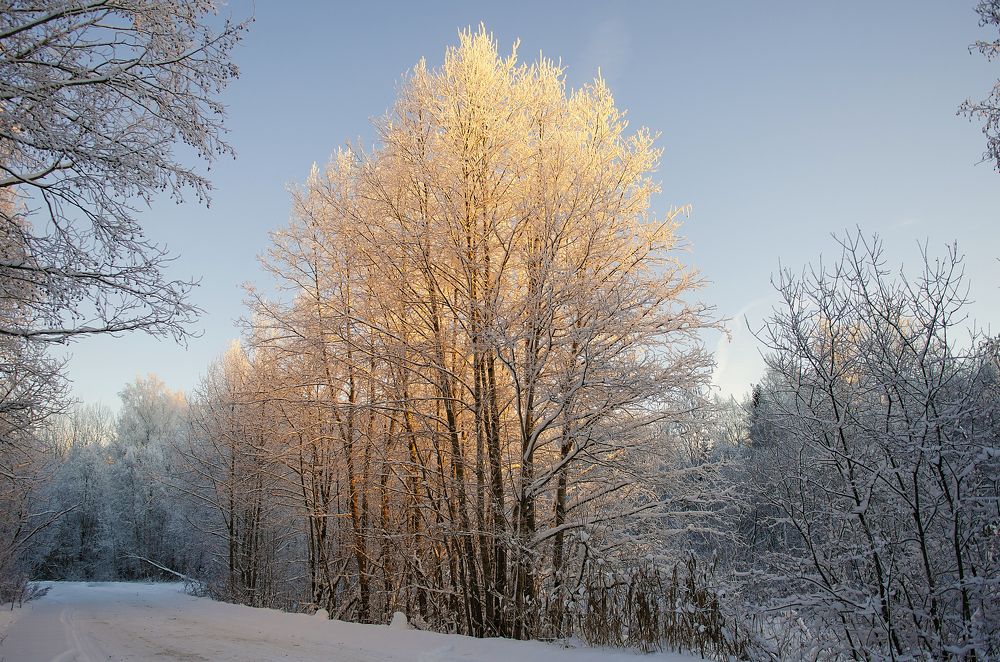 Photograph by Евгения Антонова