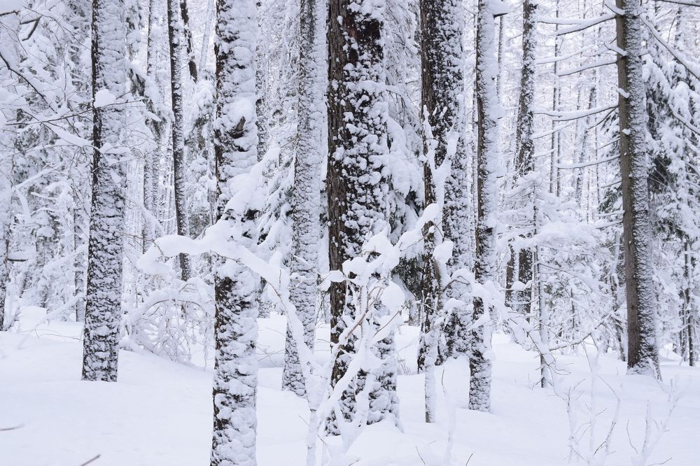 Photograph by Сон Ен Дё