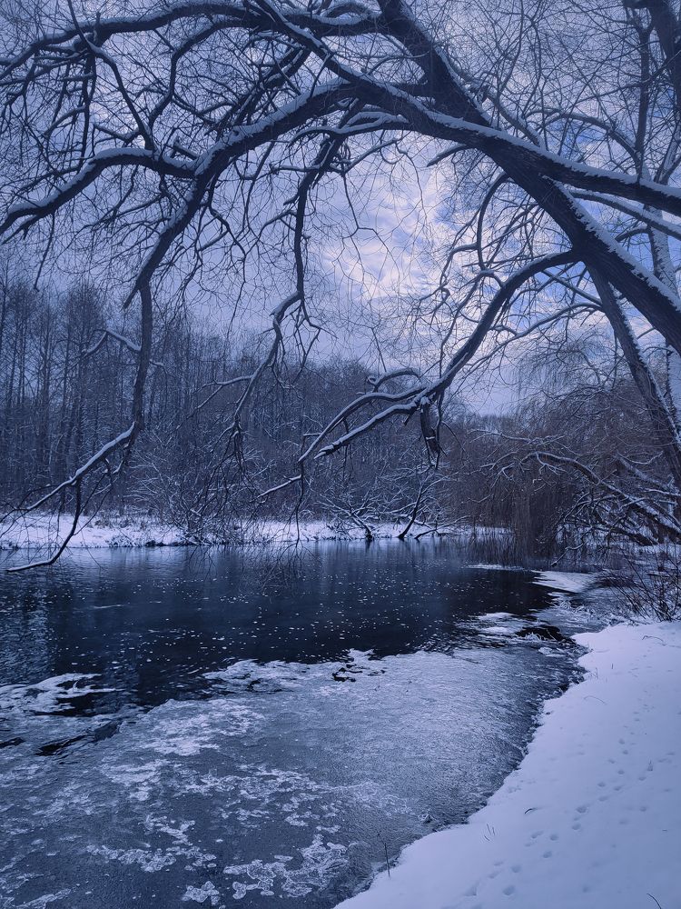 Photograph by Елена Башмакова