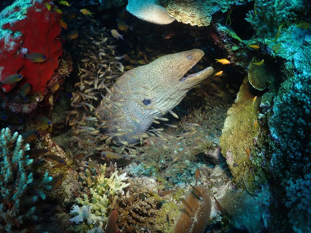 Photograph by Дмитрий Челноков