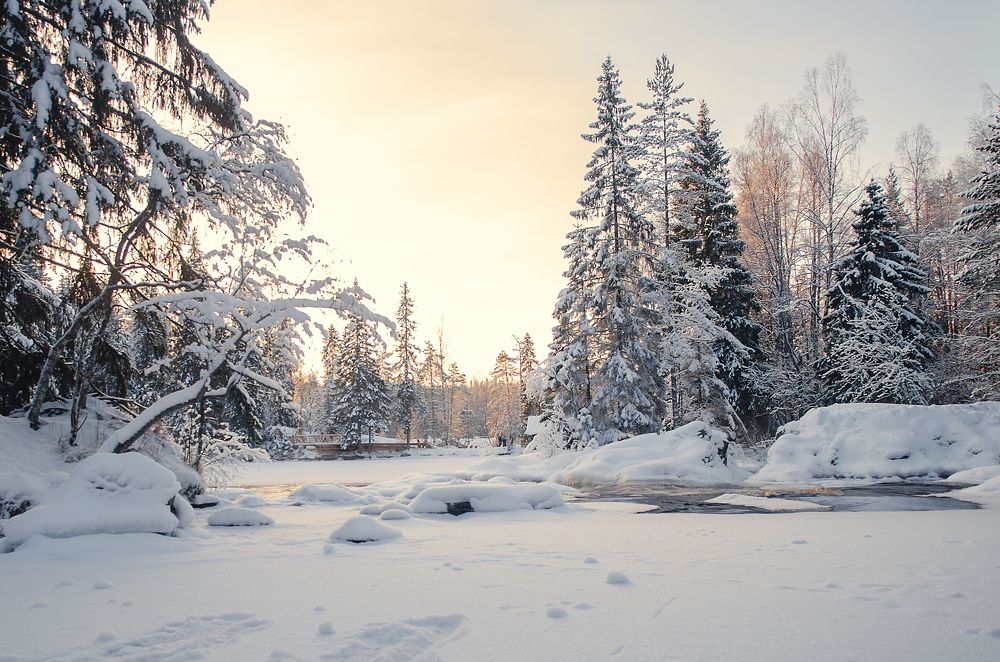 Photograph by Евгения Антонова