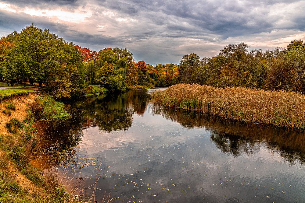 Осенняя прогулка