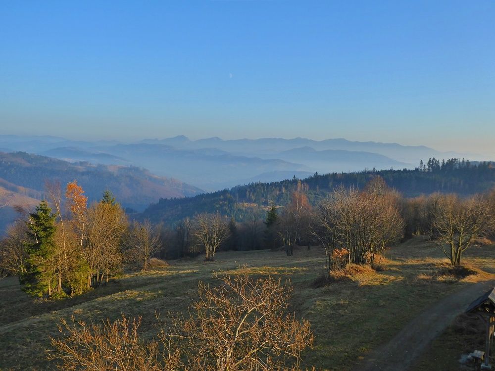 Photo #6910583