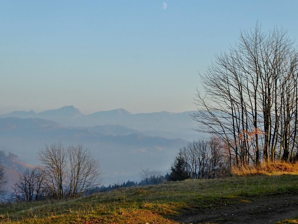 Photo #6910591