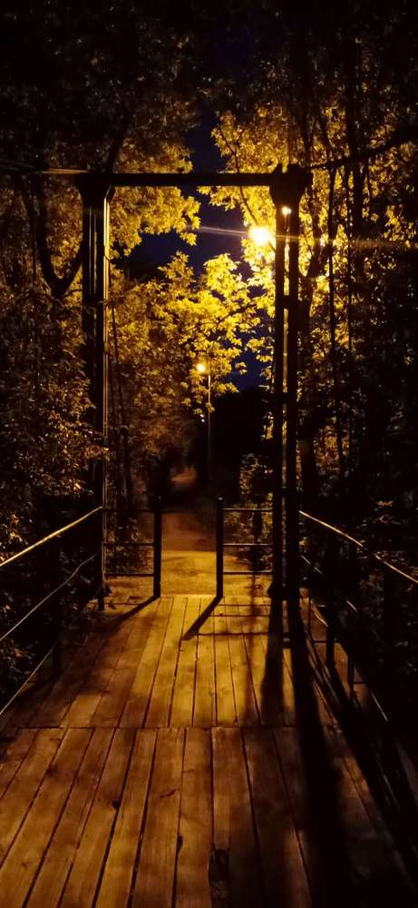 Photograph by Галина Кедик