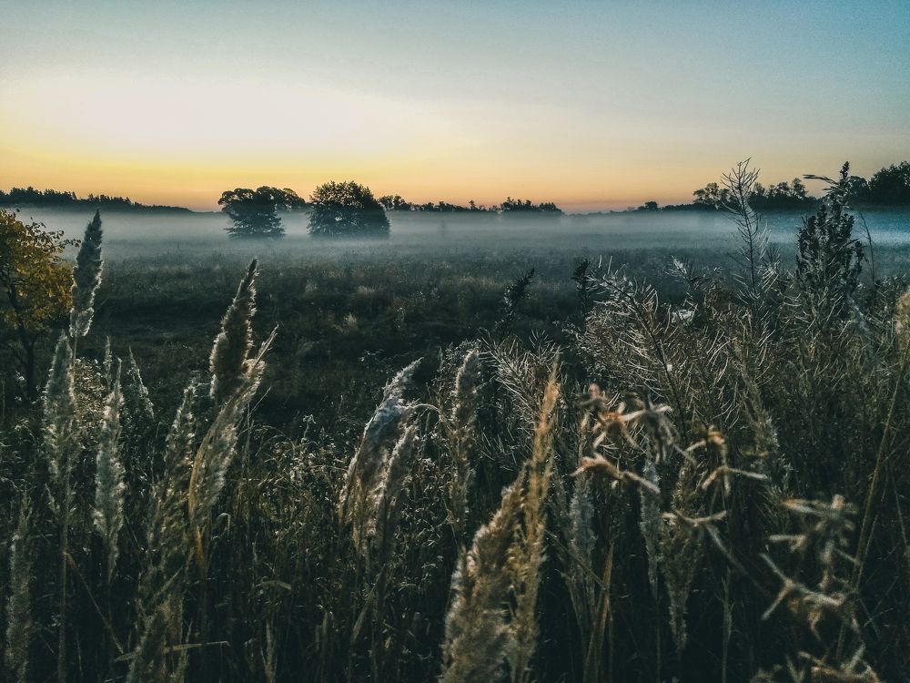 Photograph by Konstantin Zhuykov